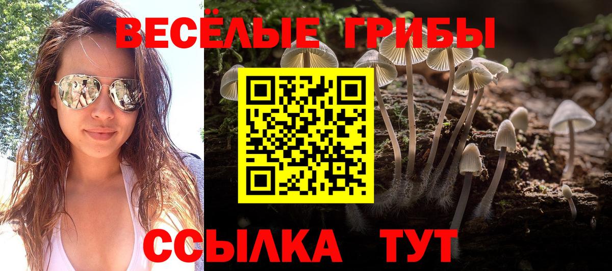Псилоцибиновые грибы MAGIC MUSHROOMS Костомукша